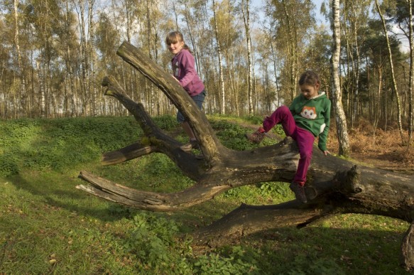 kinderen in de natuur.