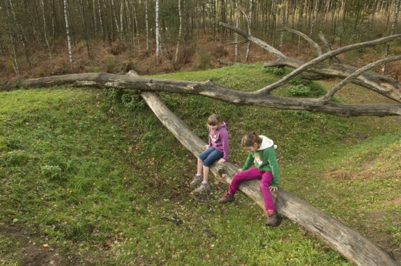 Spelende kinderen in het bos.