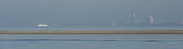 Westerschelde