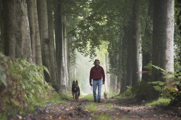 Wandelaar met hond in het bos.