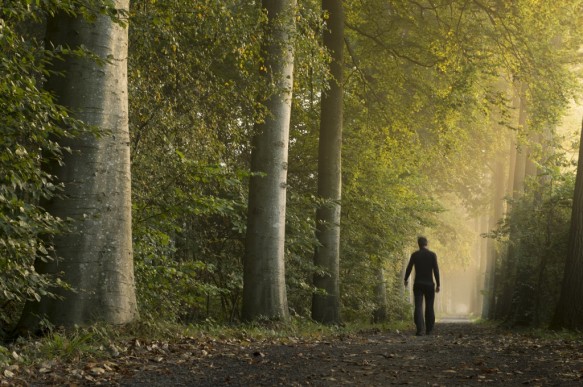 Wandelen in het bos.