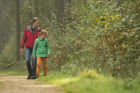 Wandelen in het bos.