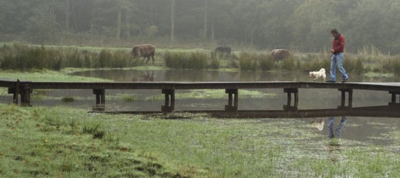 Wandelen in de natuur.