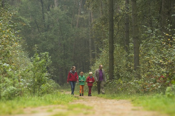 Wandelen in het bos.