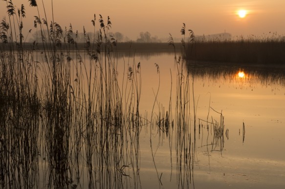 Oostpolderkreek