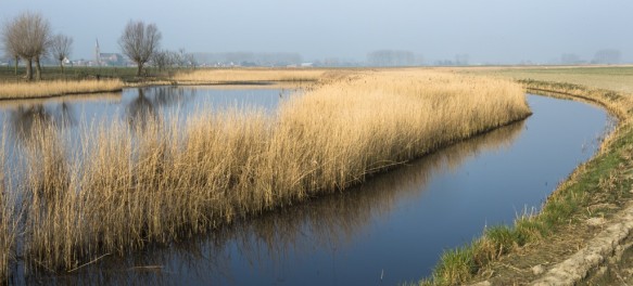 Molenkreek