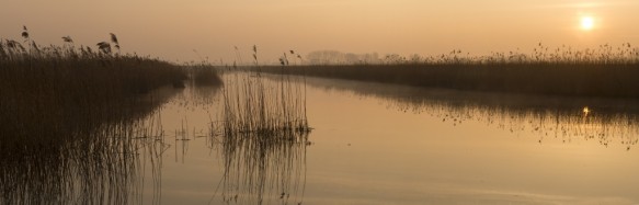 Oostpolderkreek