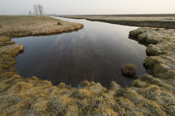 Oudemanskreek