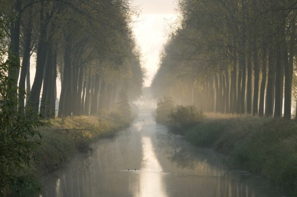 Leopoldkanaal