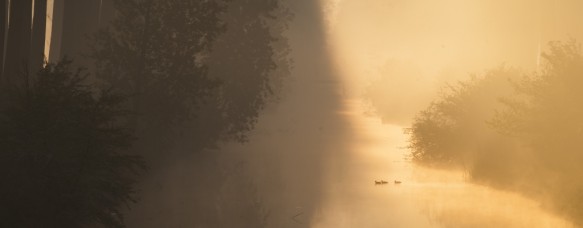 Leopoldkanaal