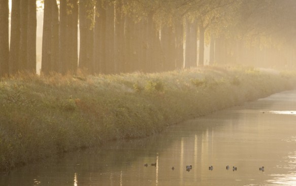 Schipdonkkanaal