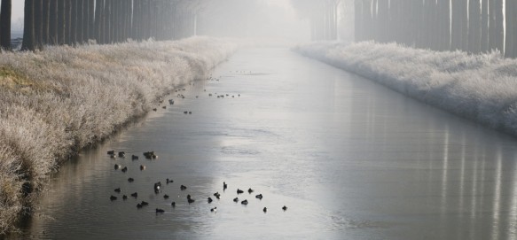 Schipdonkkanaal