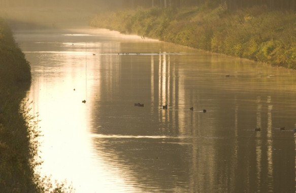Schipdonkkanaal