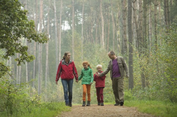 Wandelen in het bos.