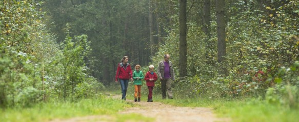 Wandelen in het bos.