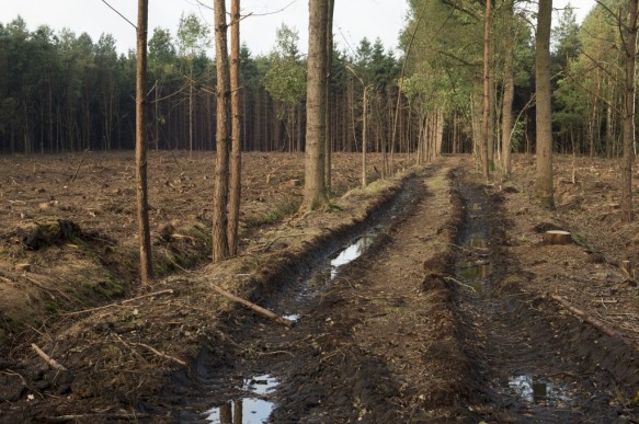 Maldgemveld.
