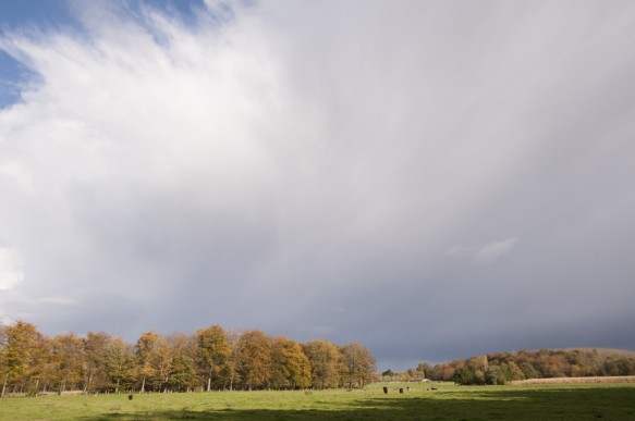 Maldegemveld