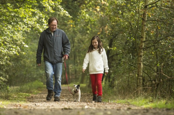 Wandelen in het bos.