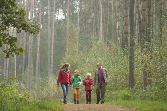 Wandelaars in het bos.