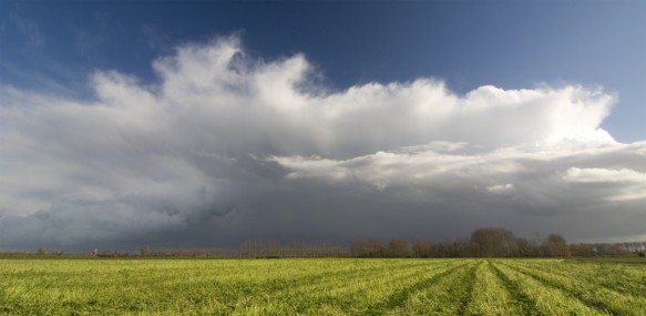 Polder in de herfst.