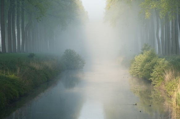 Leopoldkanaal