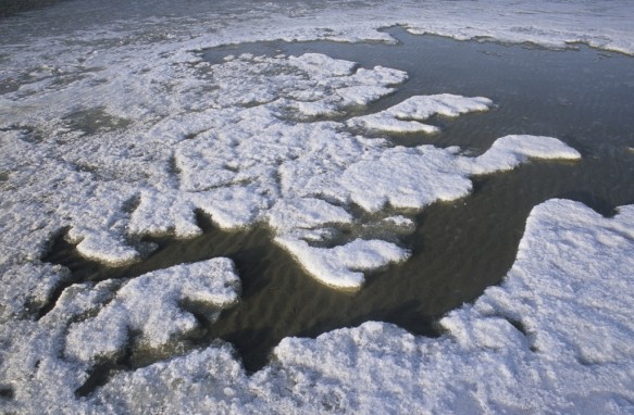 Winter aan de Westerschelde.