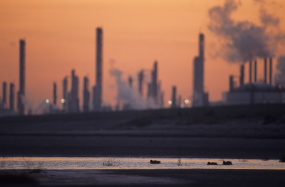 Industrie nabij de Westerschelde.