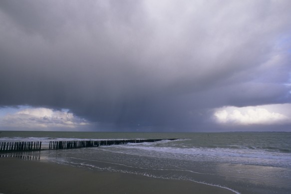Westerschelde