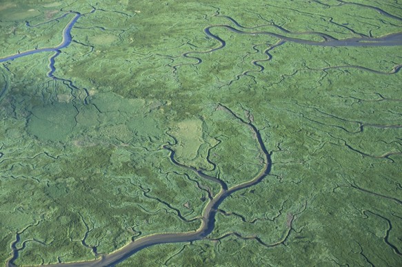 Verdronken land van Saeftinghe