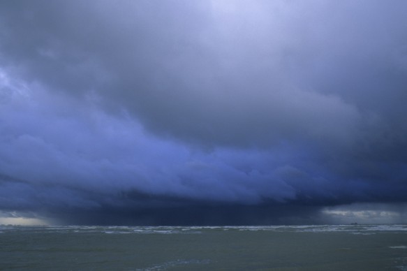 Westerschelde