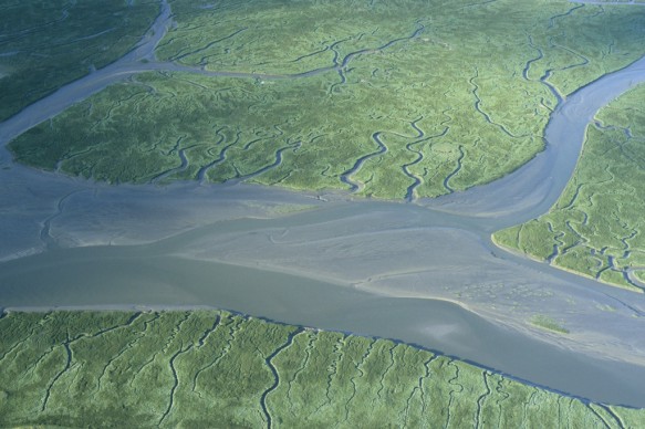 Verdronken land van Saeftinghe
