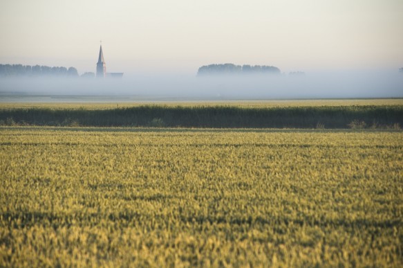 Polderlandschap te Sint-Margriete