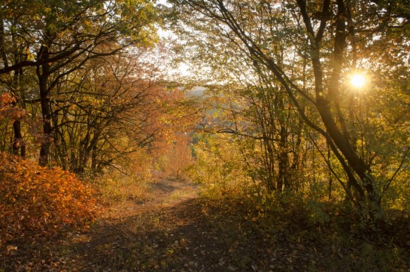Herfst in Bulgarije.