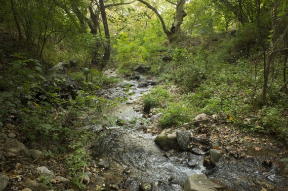 Rivier in Kresna
