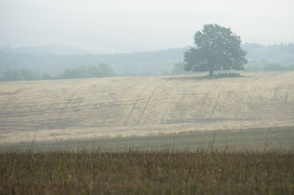 Rusenski Lom