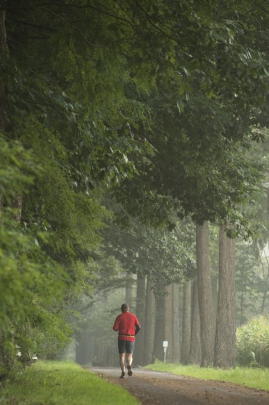 Joggen in het bos.