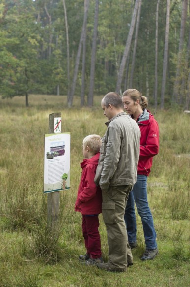 Wandelen in het Stropersbos.