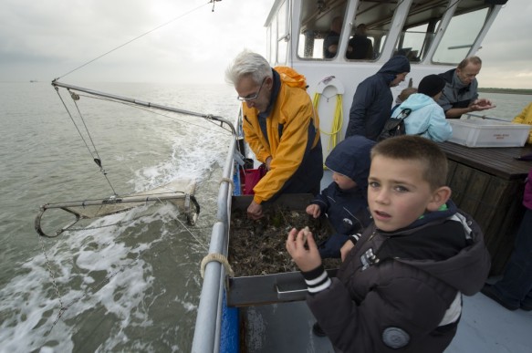 Vissen op de Westerschelde.
