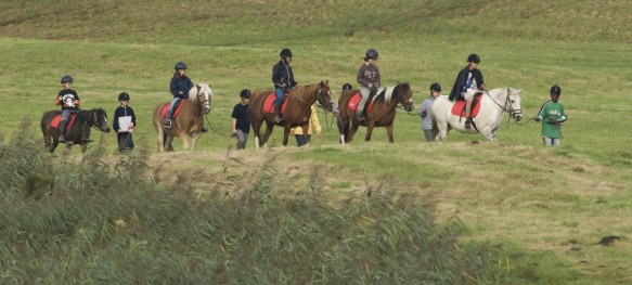 Kinderen te paard.