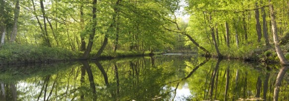 Stropersbos