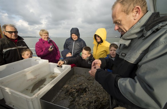 Vissen op de Westerschelde.