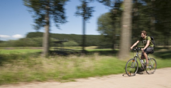 Fietsen in de polder.
