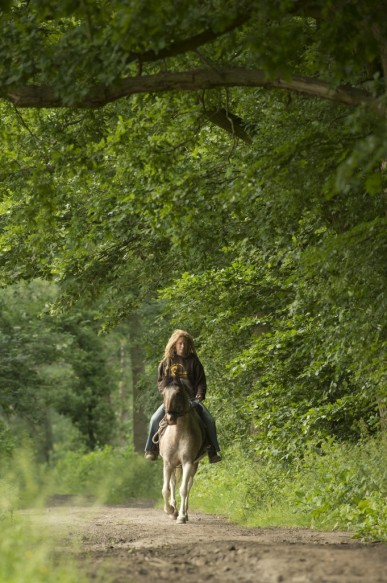Te paard in het bos.