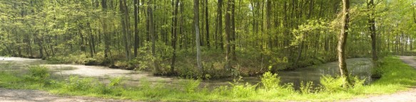 Stopersbos