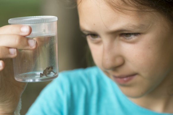 Kinderen in de natuur.