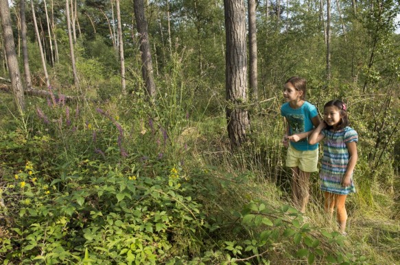 Kinderen in de natuur.