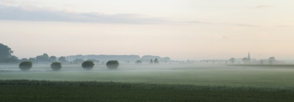 Polders in de omgeving van Sint-Margriete.