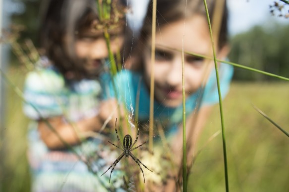 Kinderen in de natuur.