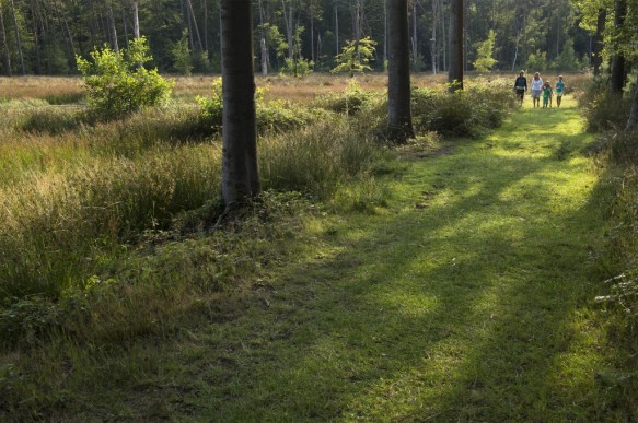 Kinderen in de natuur.