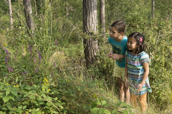 Kinderen in de natuur.